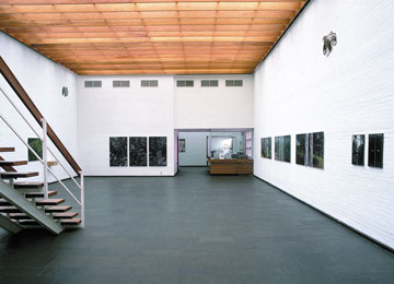 Andrea Hold-Ferneck, Gewächse, Fotografien, Kunstverein Bremerhaven, 2001
