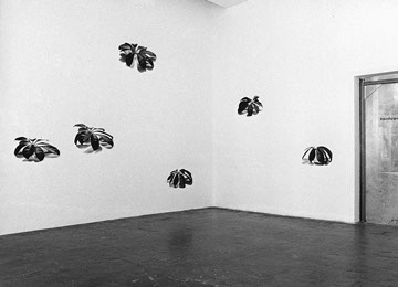 Andrea Hold-ferneck, Schefflera, Fotografien, Halle Klandestin, Wuppertal 1995